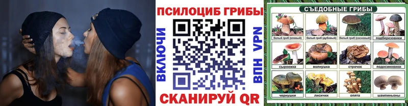 Галлюциногенные грибы Cubensis  Татарск 