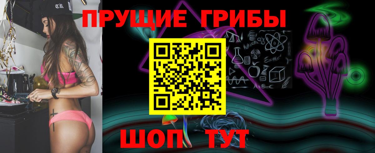 Татарск  Галлюциногенные грибы Psilocybe  где купить наркоту  Вход с VPN 